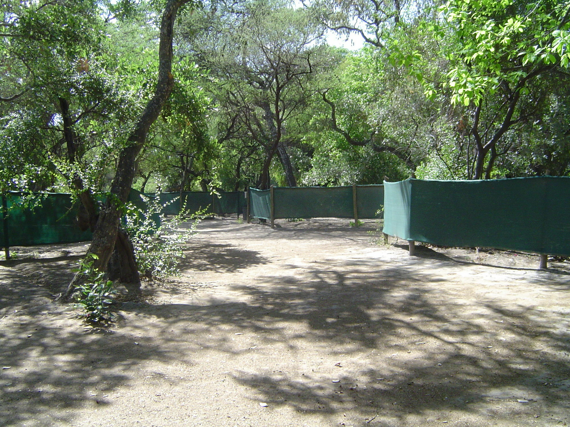 Island Safari Lodge Maun Exterior photo